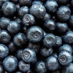 blueberry-5417154_640