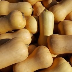 butternut