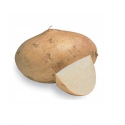 jicama