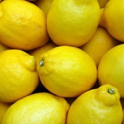 lemons-2039830_640