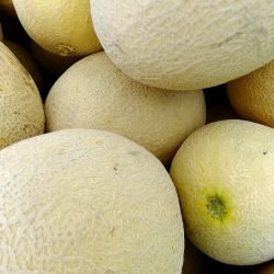 melons