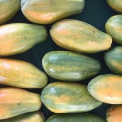 papaya