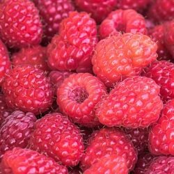 raspberries-3583005_640