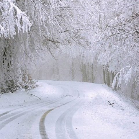 12-december