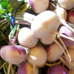 turnips-998_640